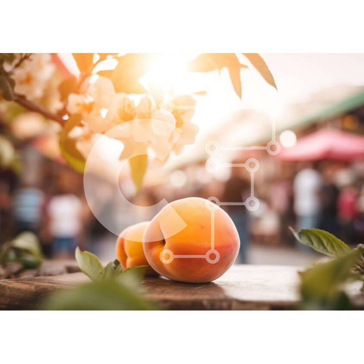 Puzzle din lemn Intrahome, orima rodakina pe masa, 25 piese, 10x10 cm, cutie din lemn wenge