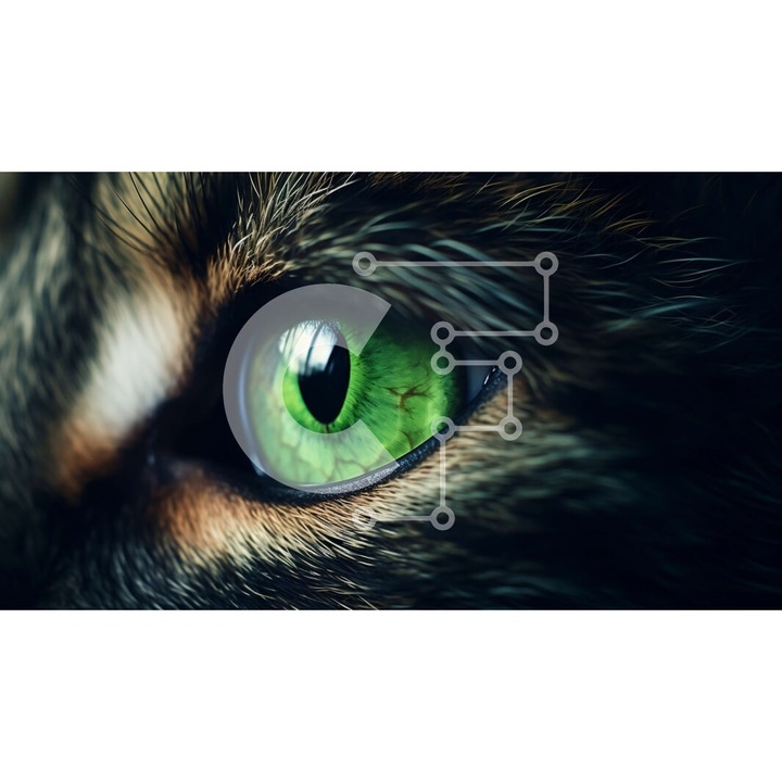 Puzzle din lemn Intrahome, 10x10 cm, 25 piese, imagine cu ochi de pisica verde, cutie din lemn wenge