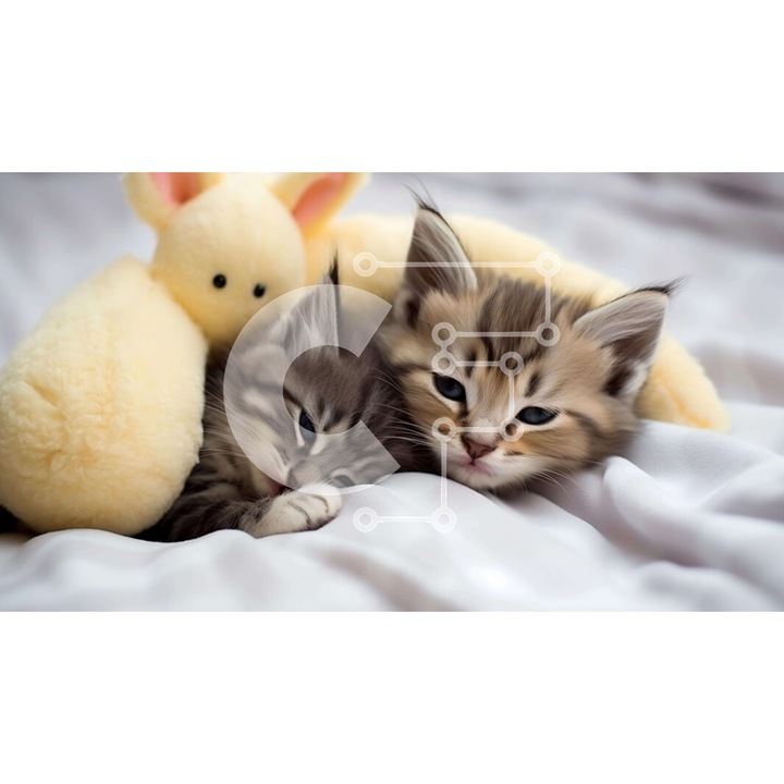 Puzzle din lemn Intrahome, 10x10 cm, 25 piese, doua pisici pe pat, cutie din lemn wenge