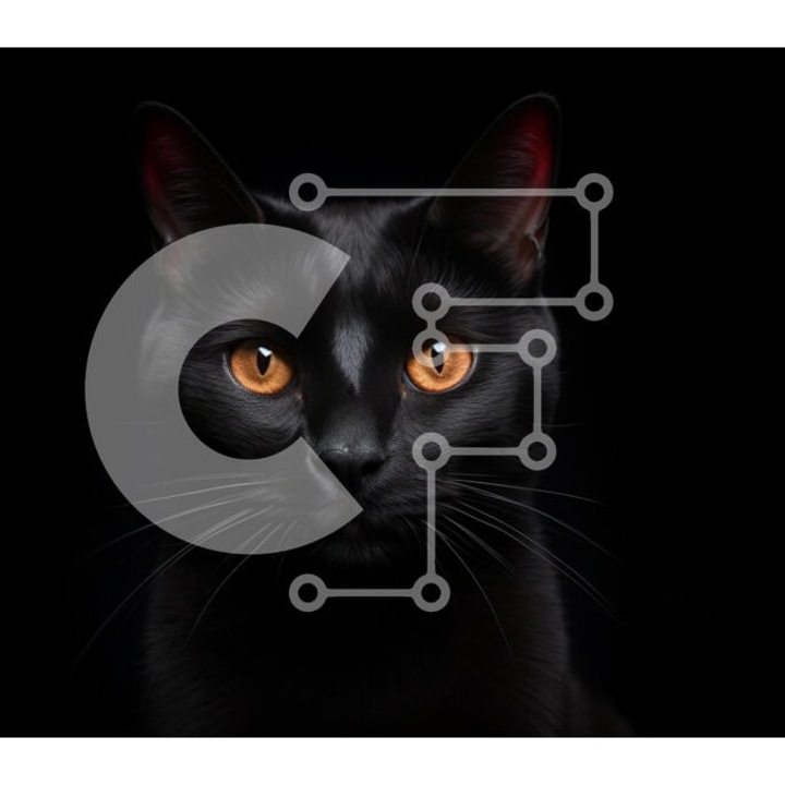 Puzzle Intrahome, 10x10 cm, 25 piese, pisica neagra cu ochi portocalii, cutie din lemn wenge