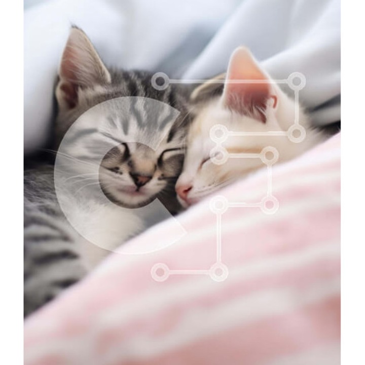 Puzzle din lemn Intrahome, 10x10 cm, 25 piese, doua pisici pe un pat, cutie din lemn wenge