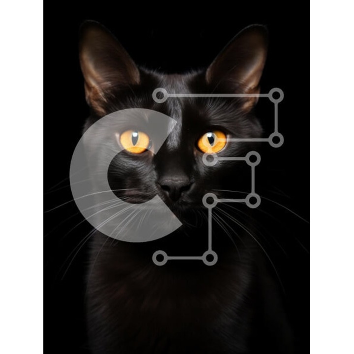 Puzzle Intrahome, 10x10 cm, 25 piese, imagine pisica neagra cu ochi portocalii, cutie din lemn wenge