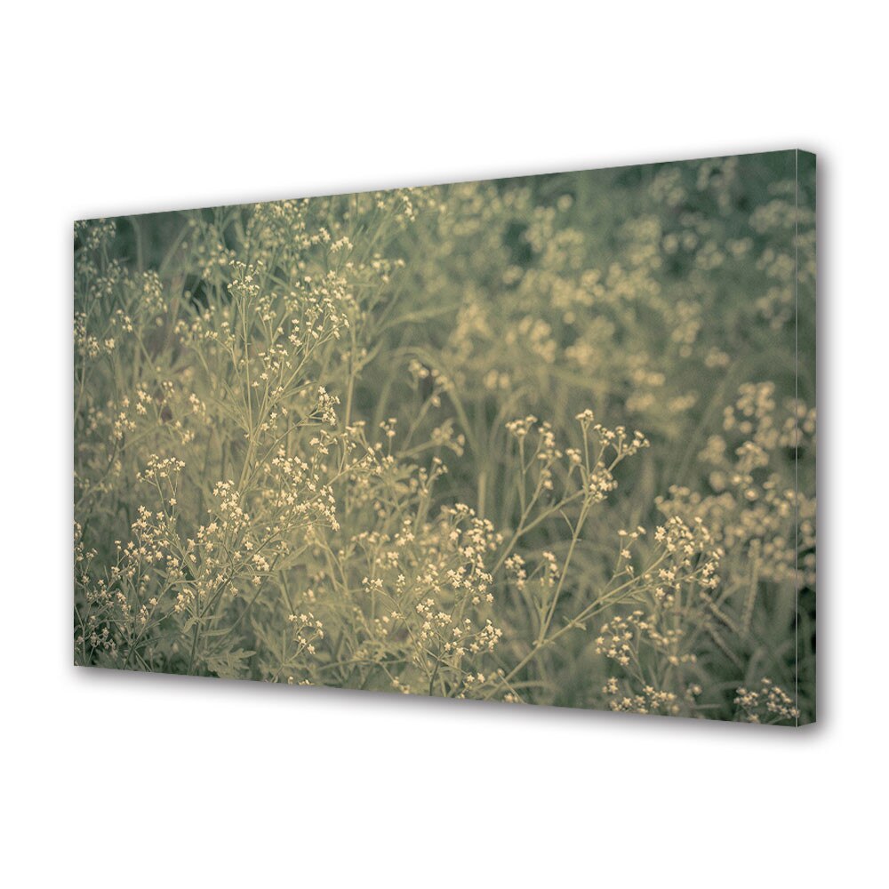 Tablou Canvas Vintage Aspect Retro Floricele albe 70 x 100 cm