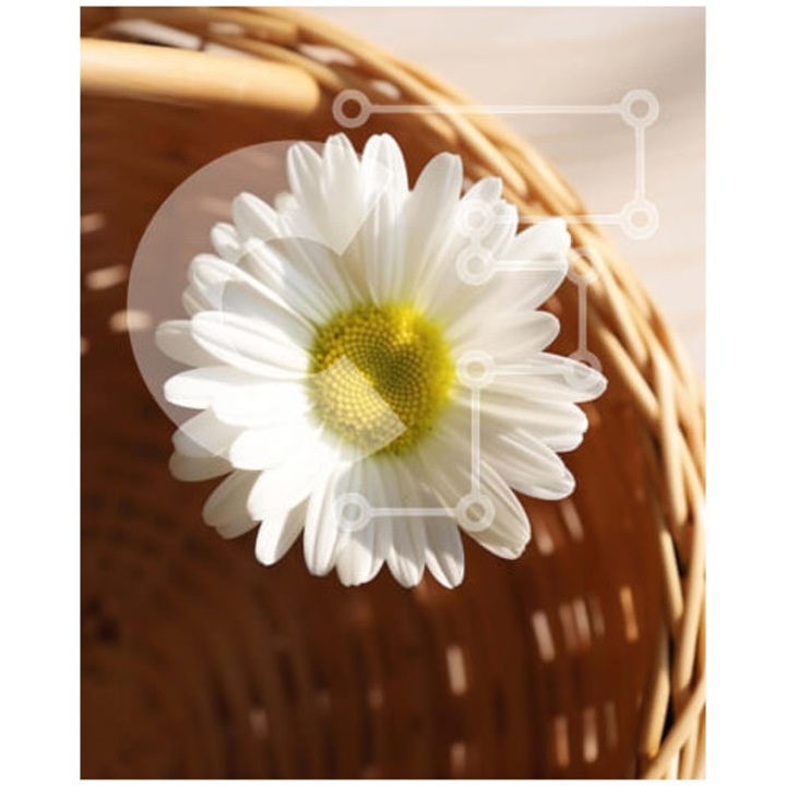 Puzzle din lemn Intrahome, floare alba margareta in cos de paie pe masa din lemn, 10x10 cm, 25 piese, set in cutie de lemn wenge