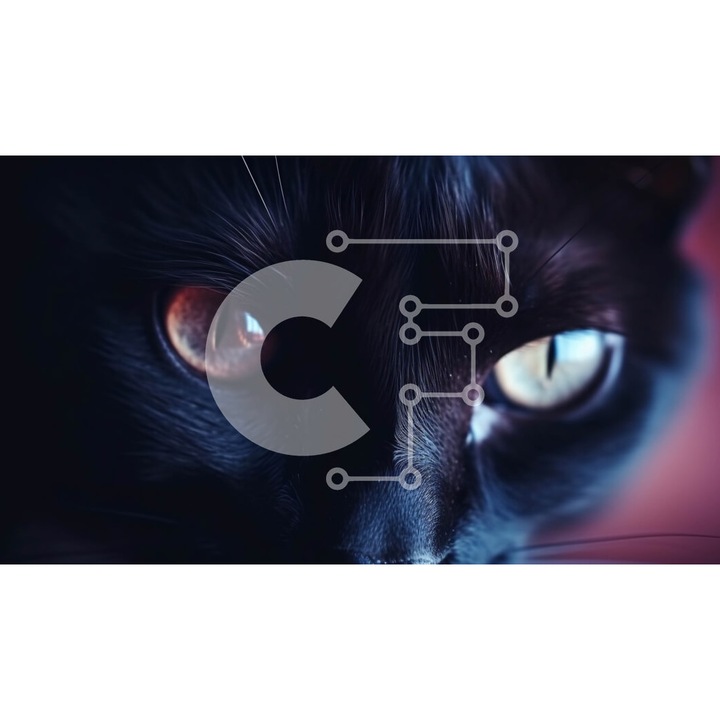 Puzzle Intrahome, 10x10 cm, 25 piese, imagine pisica neagra cu ochi portocalii, cutie din lemn wenge