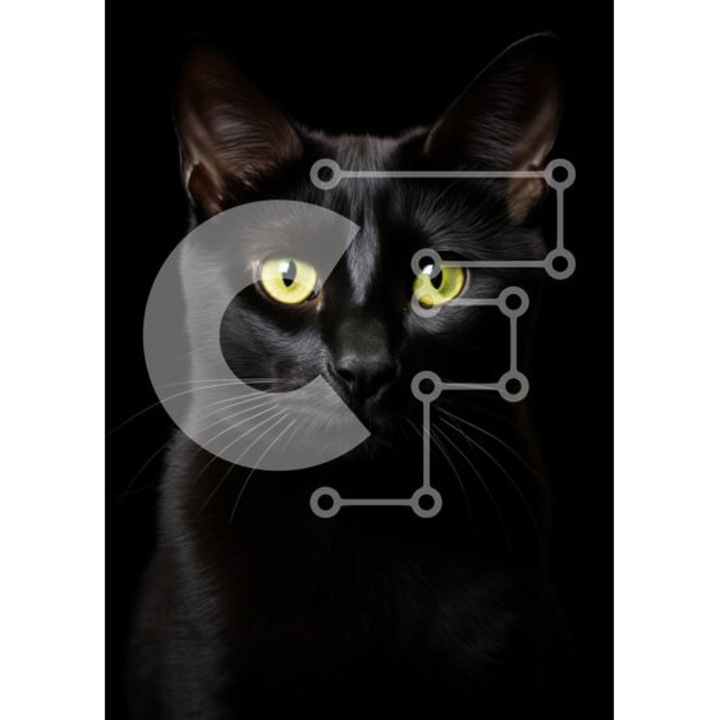 Puzzle Intrahome, 10x10 cm, 25 piese, pisica neagra cu ochi galbeni, cutie din lemn wenge