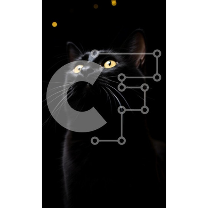 Puzzle Intrahome, 10x10 cm, 25 piese, pisica neagra cu ochi galbeni, cutie din lemn wenge