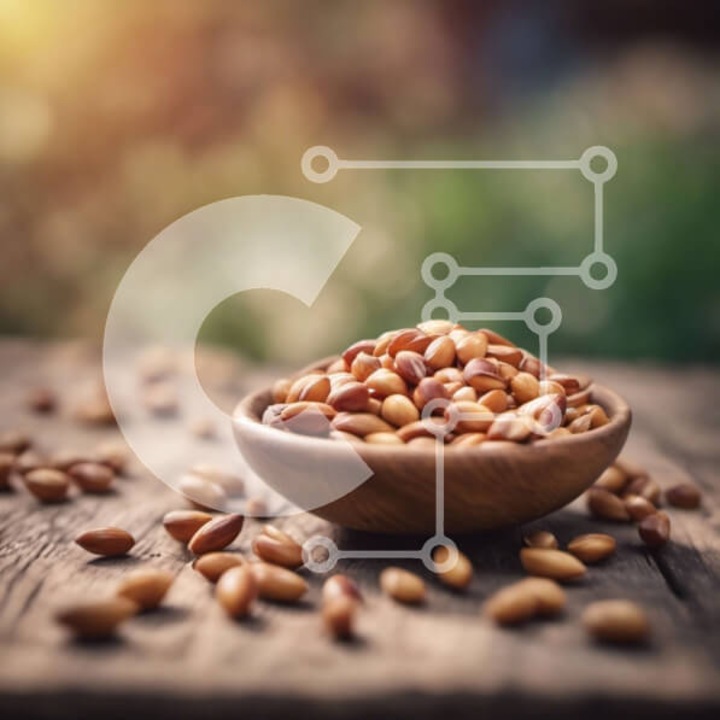 Puzzle din lemn Intrahome, marimea 10x10 cm, 25 piese, imagine cu miez de nuca pe masa de lemn, cutie din lemn wenge.