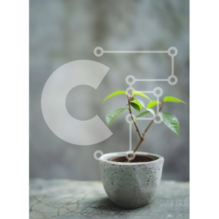 Puzzle din lemn Intrahome, planta verde in ghiveci pe masa din lemn, 25 piese, dimensiuni 10x10 cm, set in cutie de lemn wenge