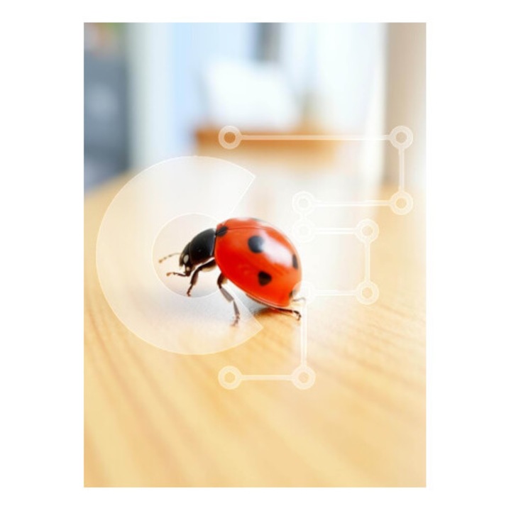 Puzzle din lemn Intrahome, pascalita pe masa, 25 piese, 10x10 cm, cutie din lemn wenge