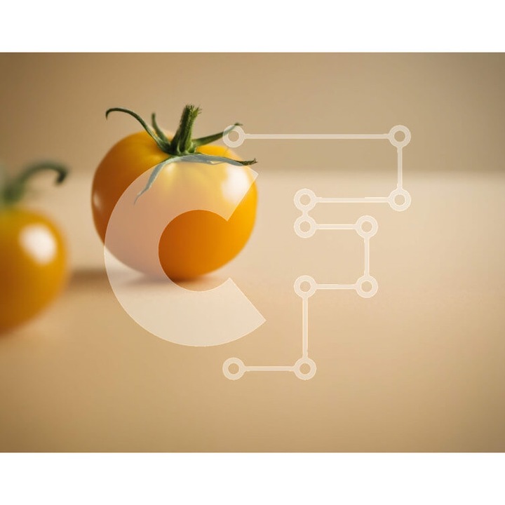 Puzzle din lemn Intrahome, 25 piese, 10x10cm, imagine cu rosii galbene pe masa bej, cutie din lemn wenge