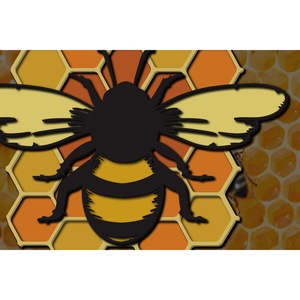 Accesorii decorative