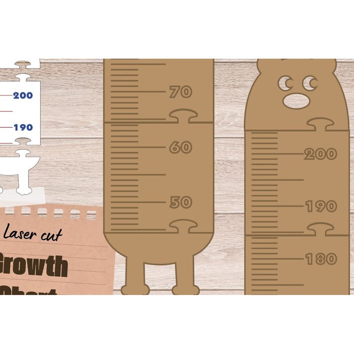 Diagrama dezvoltare urs, Charakas dezvoltare, Plywood 3mm-4mm, 30x20 cm, set