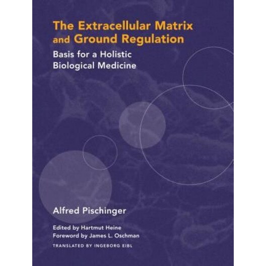 Extracellular Matrix and Ground Regulation: Basis for a Holistic Biological Medicine, Alfred Pischinger (Author)