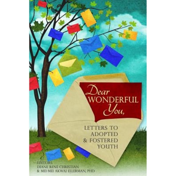 Dear Wonderful You, Letters to Adopted & Fostered Youth, Diane Rene Christian (Author)