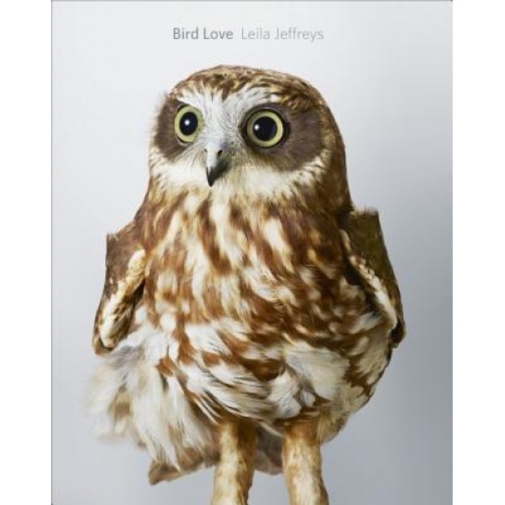Bird Love, Leila Jeffreys (Author)