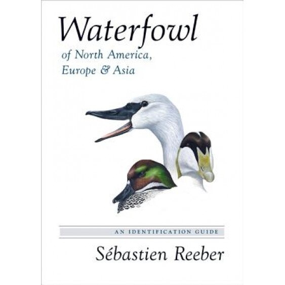 Waterfowl of North America, Europe, and Asia: An Identification Guide, Sebastien Reeber (Author)