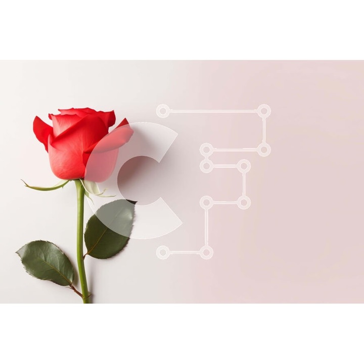 Puzzle din lemn Intrahome, triantaphyllo rosu, 10x10 cm, 25 piese, cutie din lemn wenge