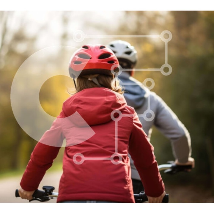 Puzzle din lemn Intrahome, 10x10cm, 25 piese, imagine cu zeugari pe un drum, cutie din lemn wenge