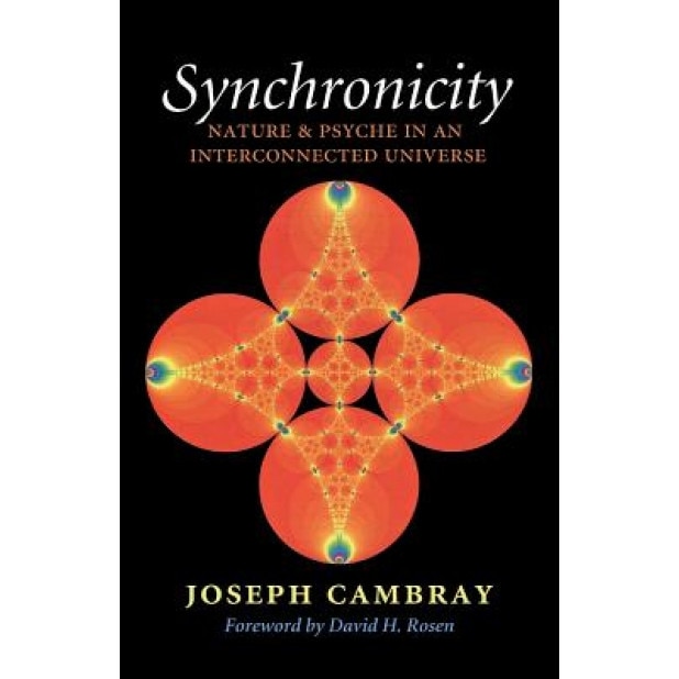 Synchronicity: Nature and Psyche in an Interconnected Universe - Joseph Cambray (Author)