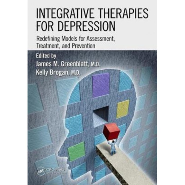 Integrative Therapies for Depression: Redefining Models for Assessment, Treatment and Prevention - James M. Greenblatt (Editor)