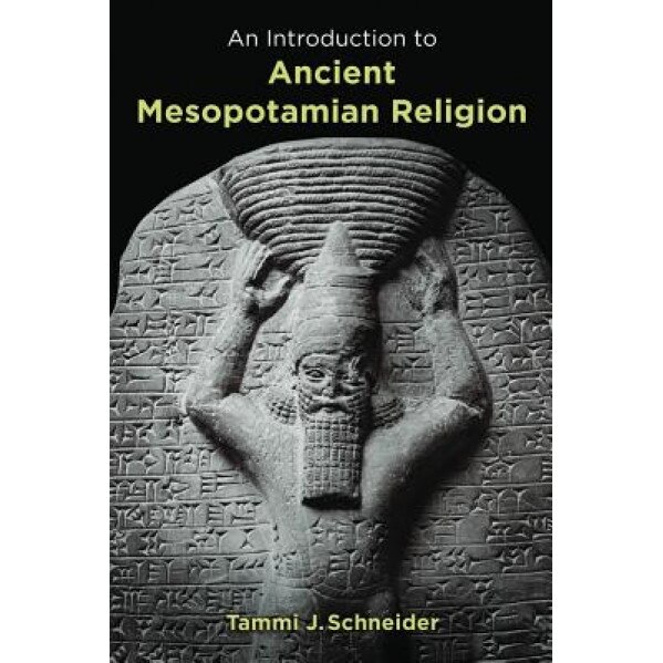 An Introduction to Ancient Mesopotamian Religion, Tammi J. Schneider (Author)