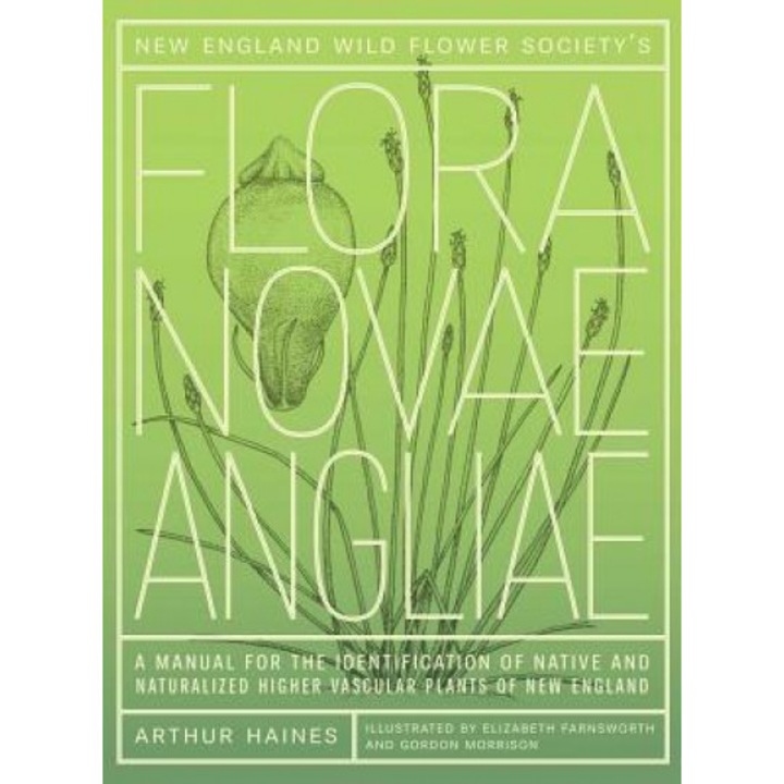 New England Wild Flower Society's Flora Novae Angliae: A Manual for the Identification of Native and Naturalized Higher Vascular Plants of New England, Arthur Haines (Author)
