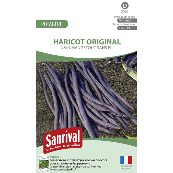 Samanta fasole pitica violet Sanrival Haricot Original, 125gr