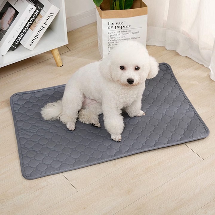 Covoras Absorbant Reutilizabil pentru Caini, Pad de Dresaj Impermeabil si Lavabil la Masina, Baza Antiderapanta, Gri - 70x100cm