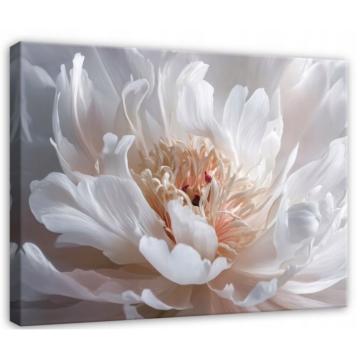 Tablou Canvas, 60x40 cm, Dormitor si Living, Abstracte, Flori, Albe, PP15828O4