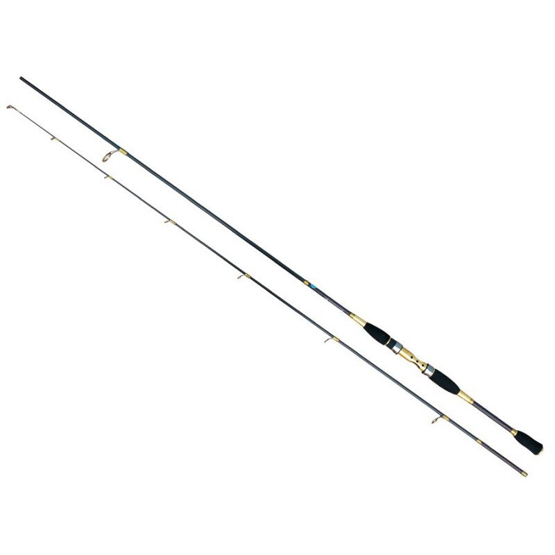 Lanseta spinning fibra de carbon Baracuda Avalon 2.7 m A: 30-80 g