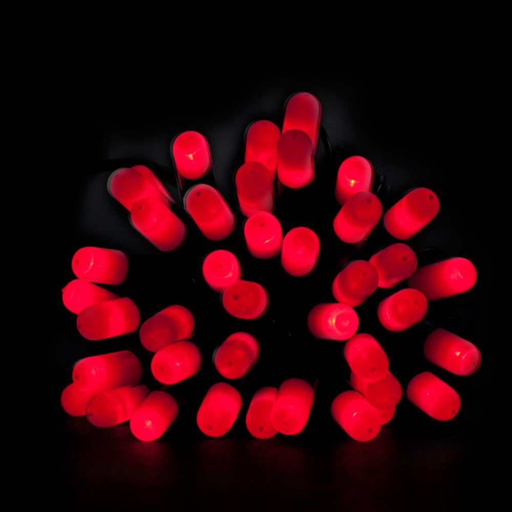 Instalatie 40 LED-uri statice Holly, rosu, 5 m