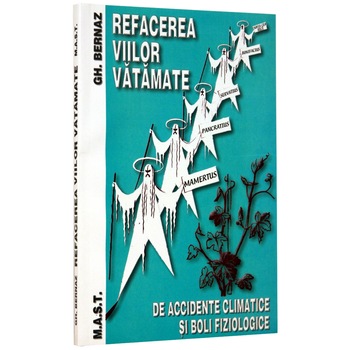 Refacerea Viilor Vatamate Refacerea Viilor Vatamate