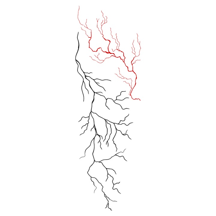 Tatuaj temporar, Flash Tattoos Romania, Thunder, rezistent la apa, aplicare rapida, 35 x 12 cm