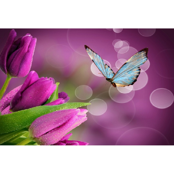 Tablou canvas, MEDIA, Fluture albastru cu lalele mov, 90 x 60 cm