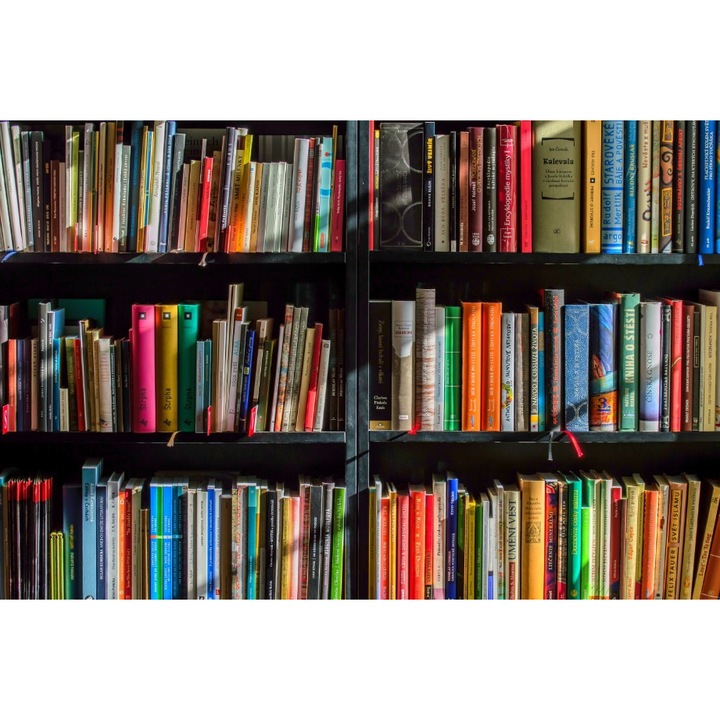 Картина върху платно, МЕДИЯ, Цветни книги, 45 x 30 см