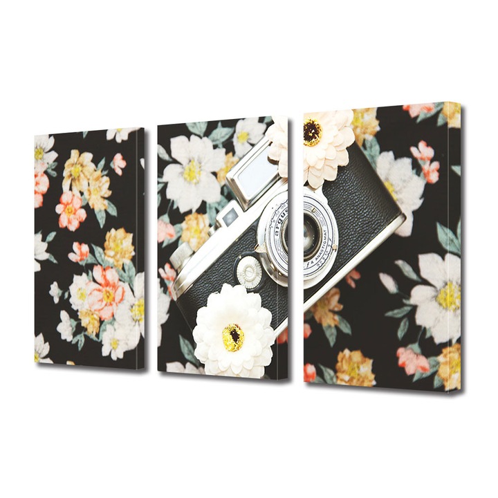 Set Tablouri Muilticanvas 3 Piese Vintage Aspect Retro Camera foto si flori retro 100 x 210 cm