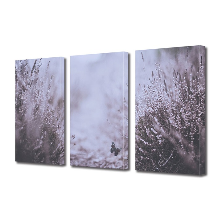 Set Tablouri Muilticanvas 3 Piese Vintage Aspect Retro Fluture mic printre flori 100 x 210 cm