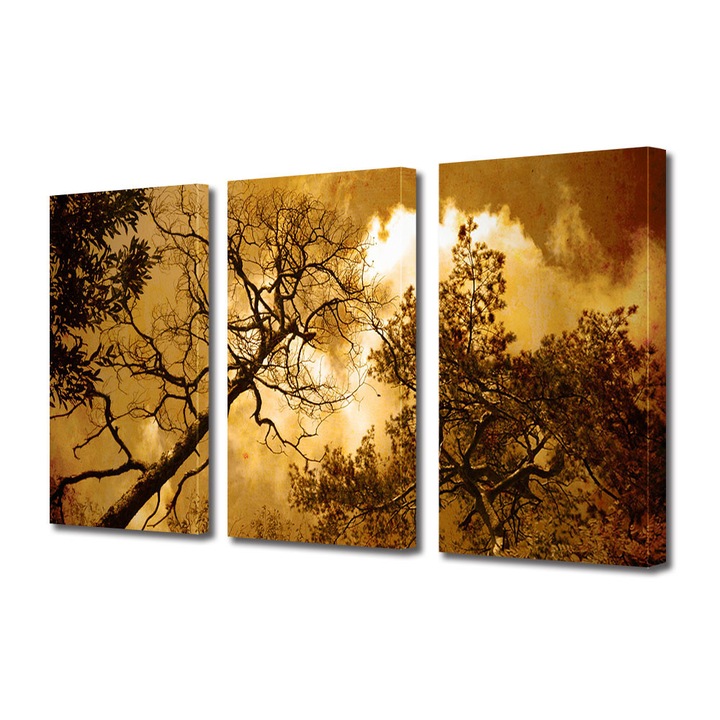Set Tablouri Muilticanvas 3 Piese Vintage Aspect Retro Cer galben intens 60 x 120 cm