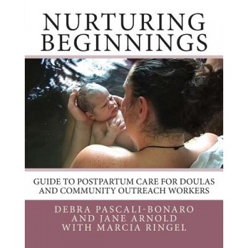 Nurturing Beginnings: Guide to Postpartum Care for Doulas and Community Outreach Workers, Debra Pascali Bonaro (Author)