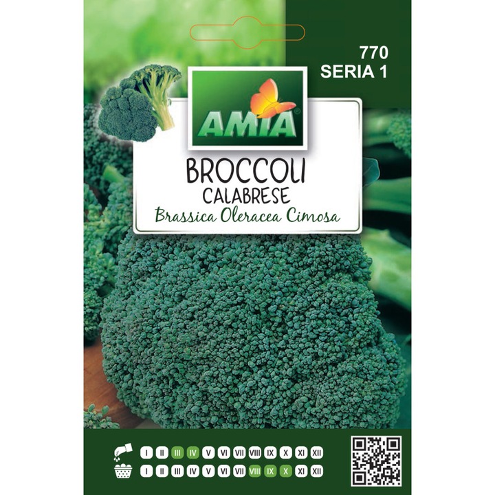 Seminte broccoli Calabrese, Amia, varietate traditionala italiana, sanatoasa, 3g