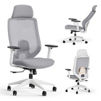 Scaun de Birou SENSE7 Nakai, Ergonomic Mesh, Greutate maxima: 150 kg, cu suport lombar, cu tetiera reglabila, cu spatar reglabil (unghi 90-123°), rotativ, cu mecanism sinchronic, cu cotiere reglabile, Gri