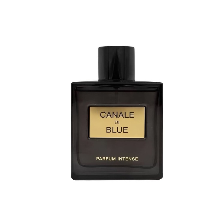 Parfum Fragrance World Canale Di Blue Parfum Intense, Férfi, 100 ml