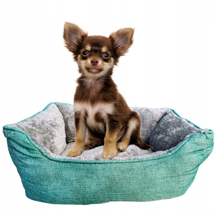 Cuib Pentru Caine / Pisica Kd 0055B, Dimensiune S Culoare Verde Cu Umplutura Gri, Oem, Kd 0055B S Verde, Interior Moale Din Plus Pentru O Odihna Confortabila A Animalului De Companie, 45 x 34 x 18 cm, Verde