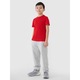 Tricou 4F Bumbac, Rosu