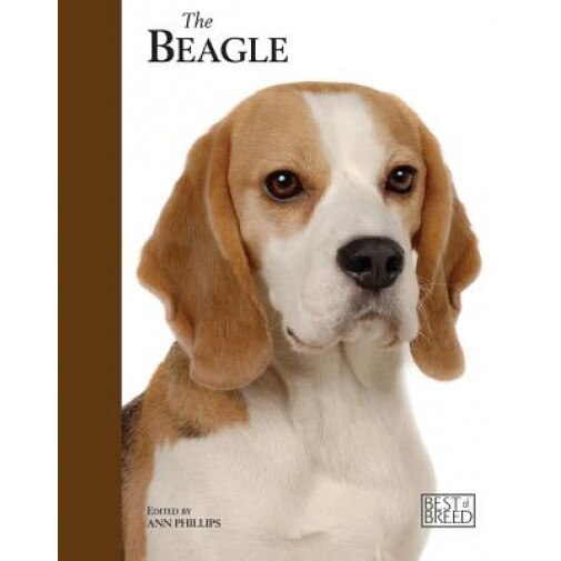 The Beagle, Ann Phillips (Author)