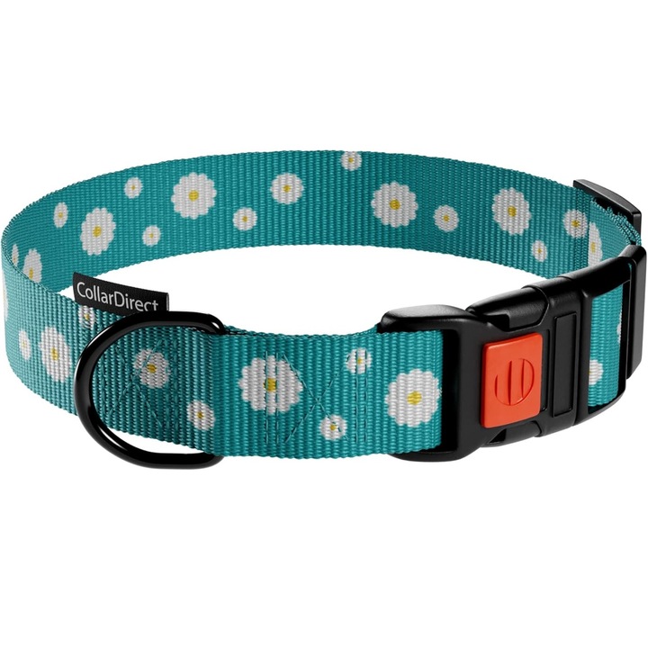 Nyakörv kutyáknak, CollarDirect, nylon, állítható, 30,5-40,6 cm, színes, szett