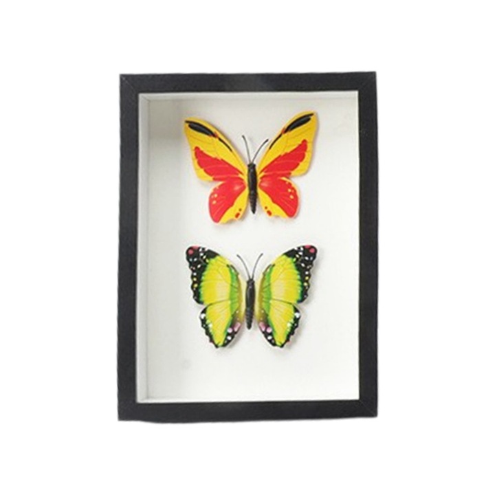 HERUSI 3D képkeret, szárított virágok, 25x25cm, MDF, üveg