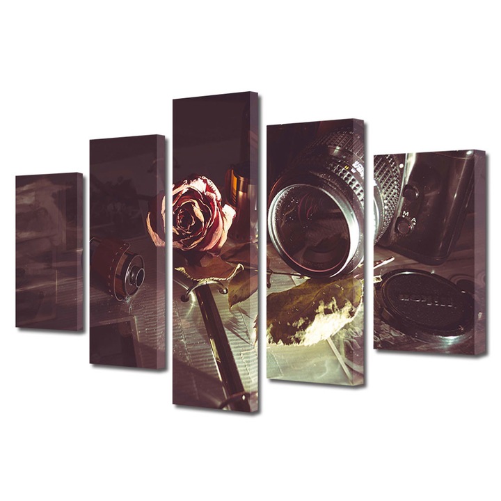 Set Tablouri Muilticanvas 5 Piese Vintage Aspect Retro Camera vintage film 60 x 100 cm