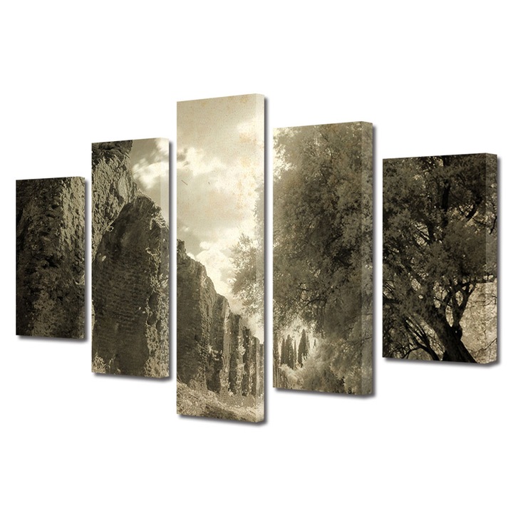 Set Tablouri Muilticanvas 5 Piese Vintage Aspect Retro Zid antic 100 x 175 cm